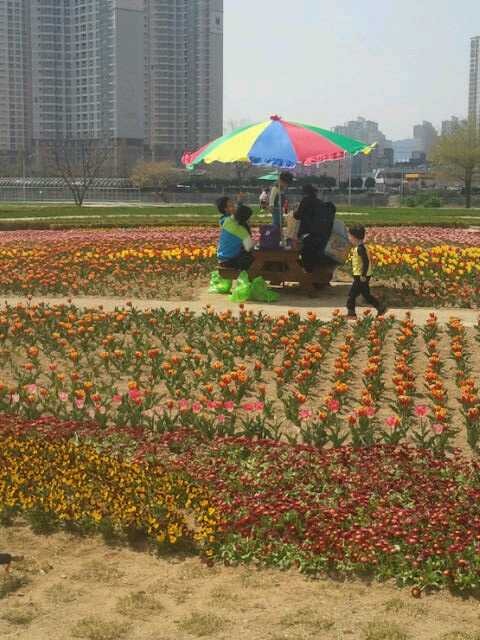 머리마을 이미지