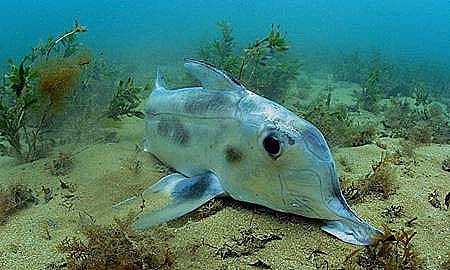 142AB4574D4ECA7F2D2DFD