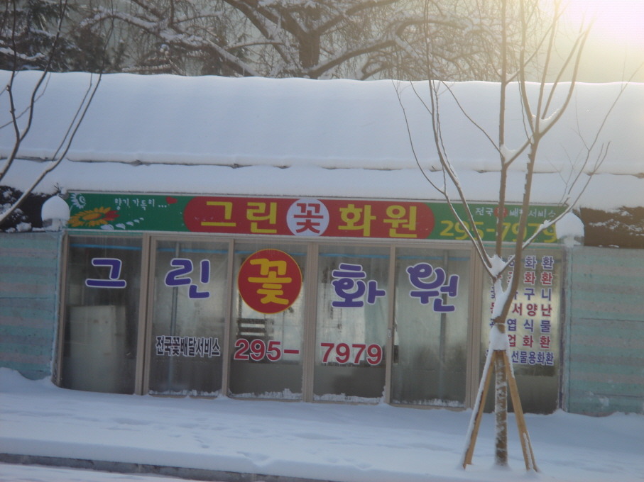 그린꽃화원 이미지