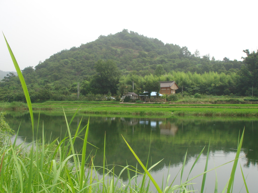 서래원 이미지