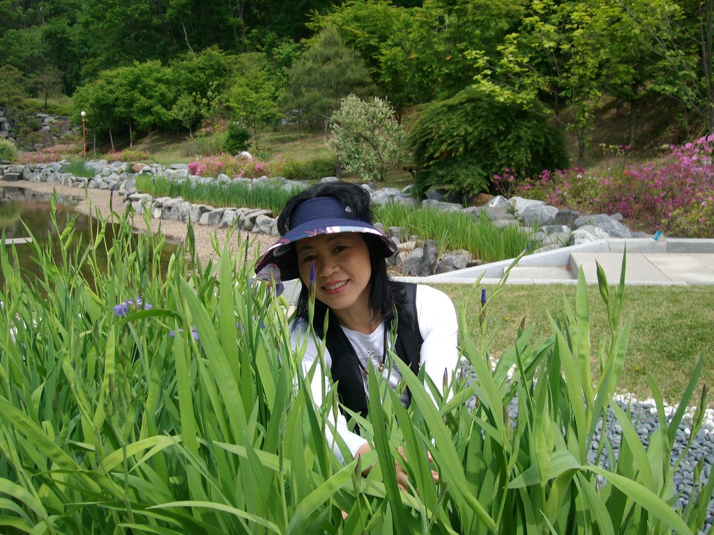 화천한옥마을 이미지