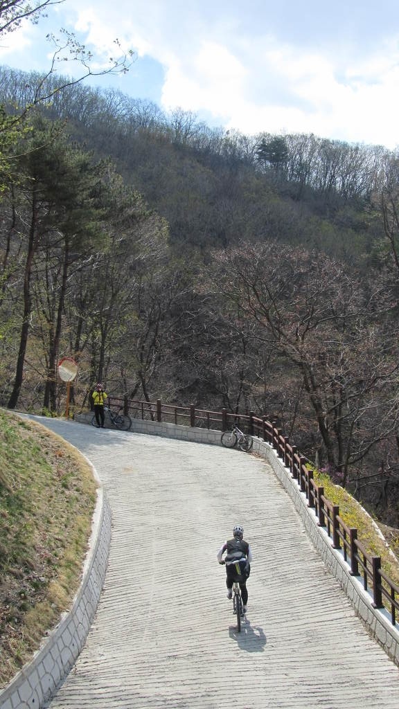 새미 이미지
