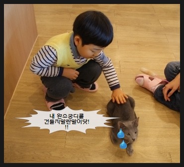 커피캣 이미지
