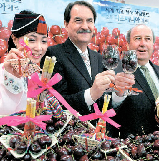 체리마트 이미지
