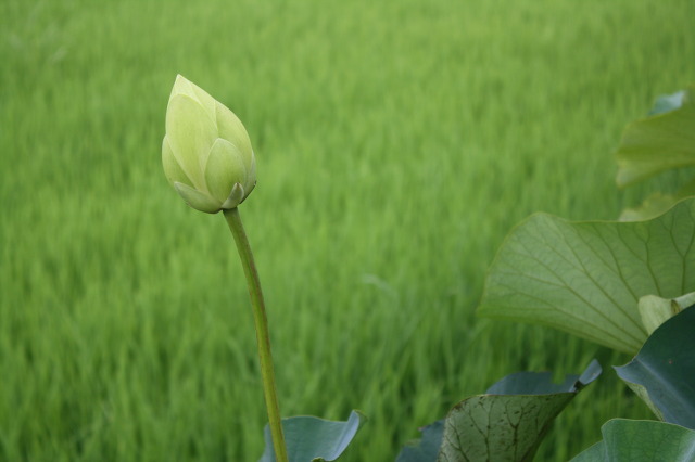 서래원 이미지