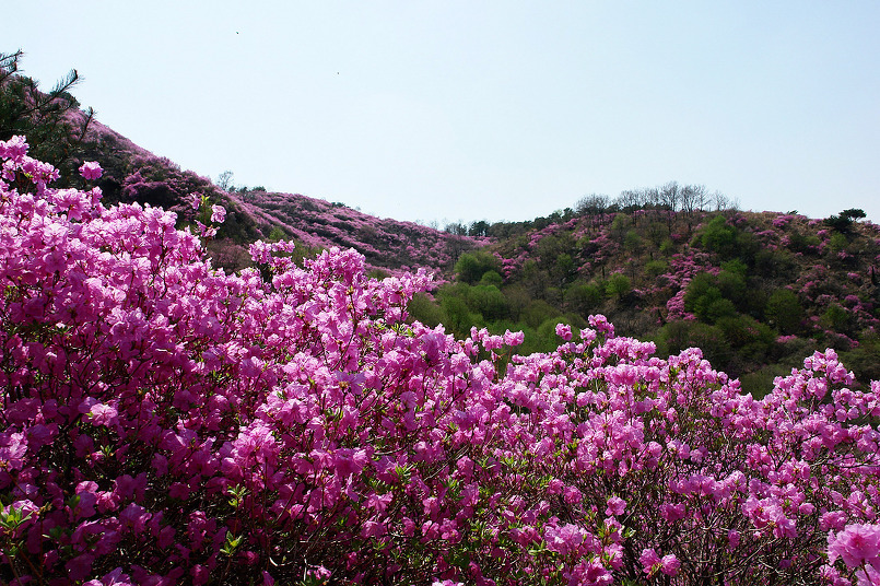 희망찬 이미지