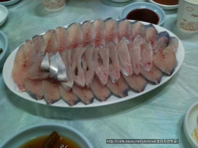 팜데이 이미지