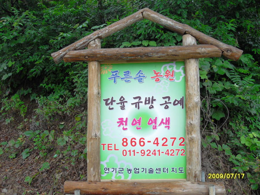 단율 이미지