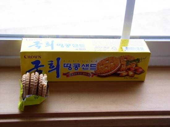 군입정 이미지