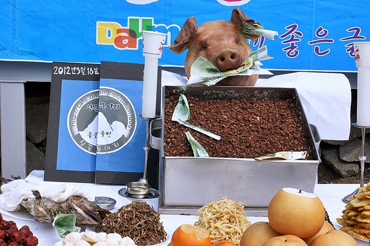 힛트방 이미지