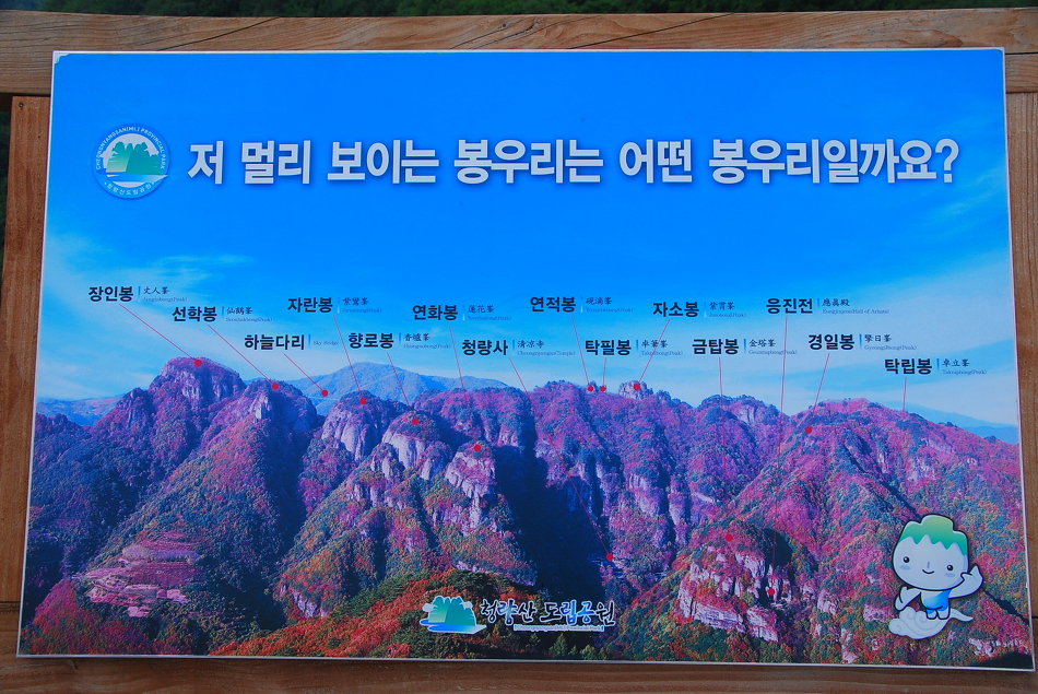 청량산 정상에서 본 전경 이미지