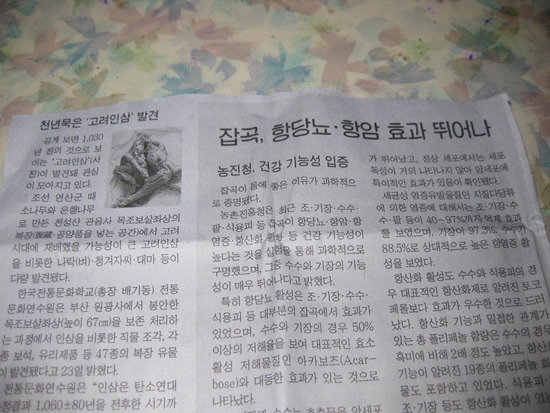 천년인삼 이미지