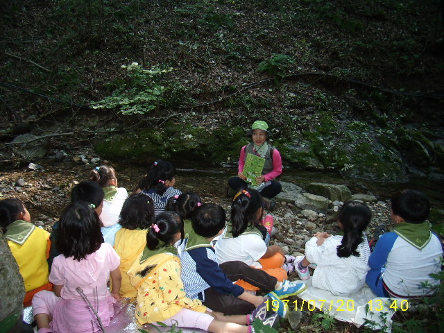 숲유치원 이미지