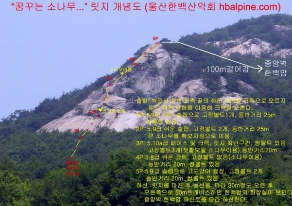 소나무수산 이미지