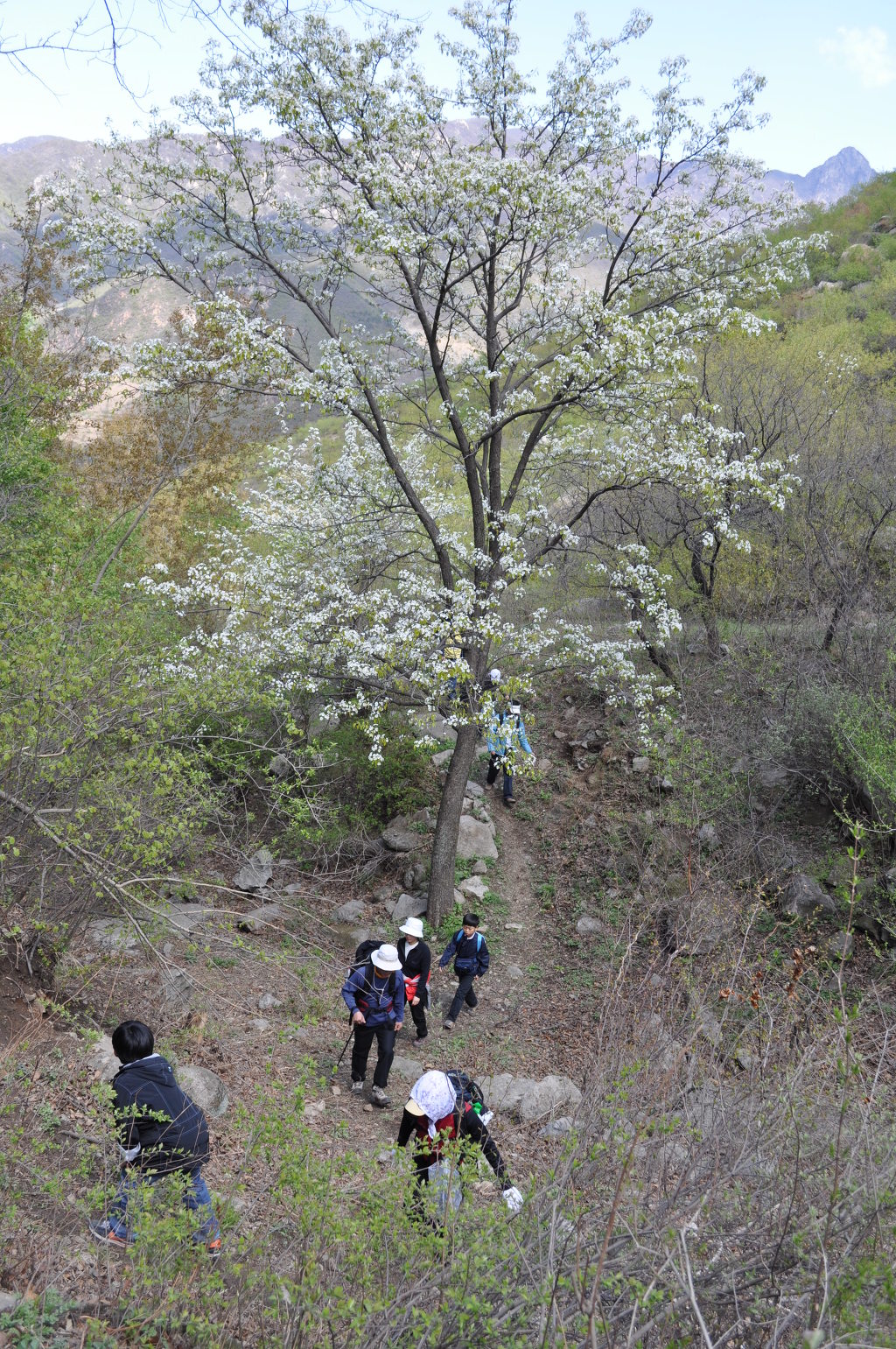 연수산 이미지