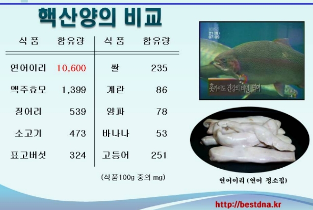 (주)핵산바이오 이미지