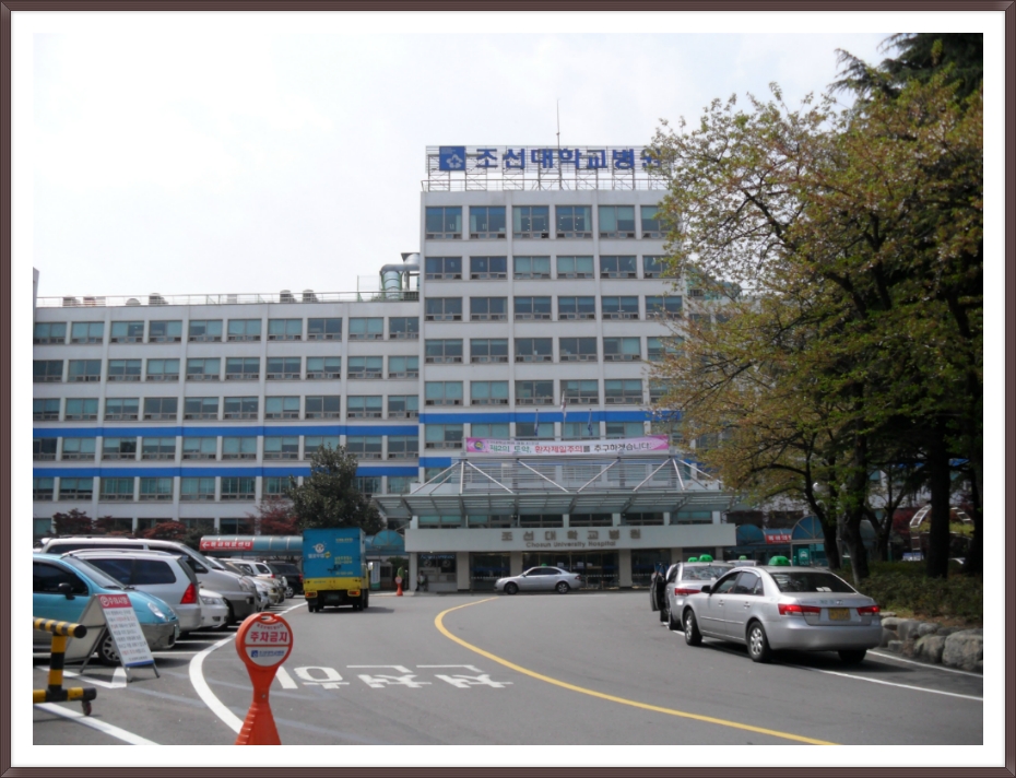 조선대학교병원 이미지