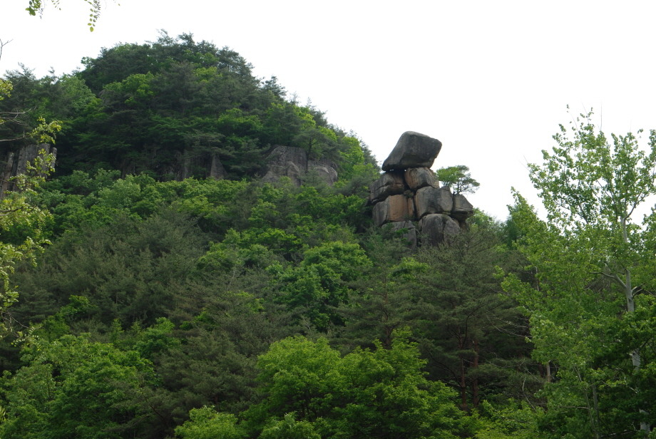 밀레충북 이미지