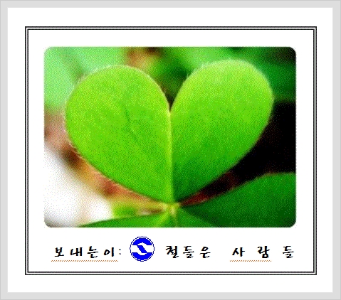 서해철강 이미지