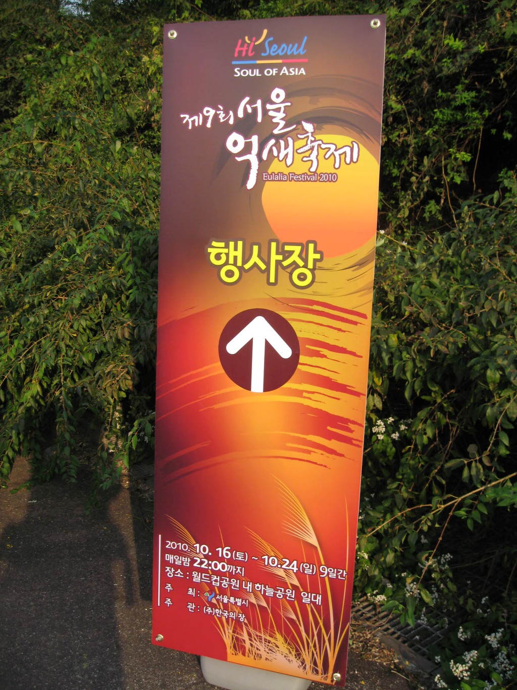 하늘파크골프 이미지
