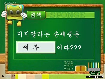 스펀지 이미지