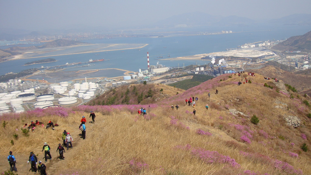 꽃길따라 이미지