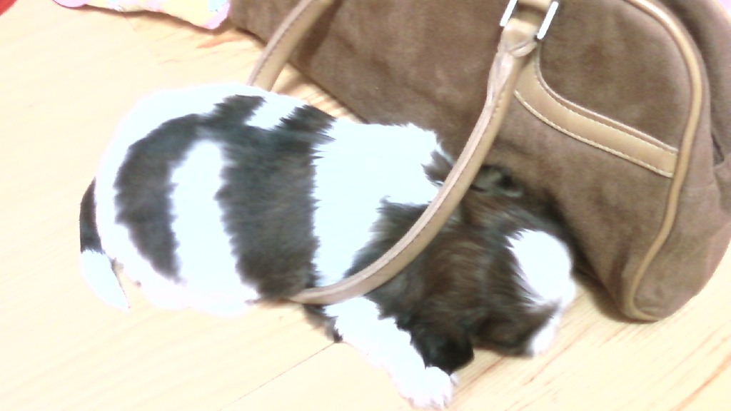 쮸쮸 이미지
