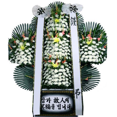 박*순 이미지