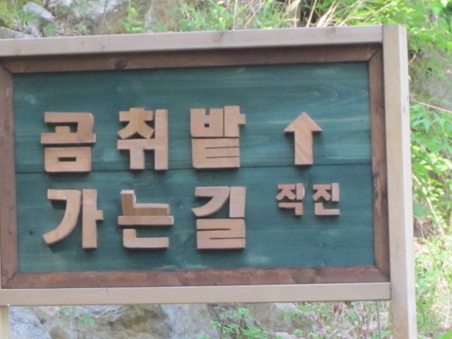 신흥주유소 이미지
