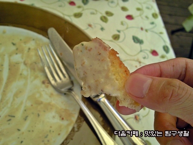 안나비니 이미지