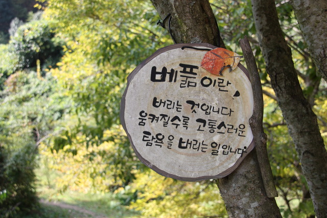 대원사 이미지