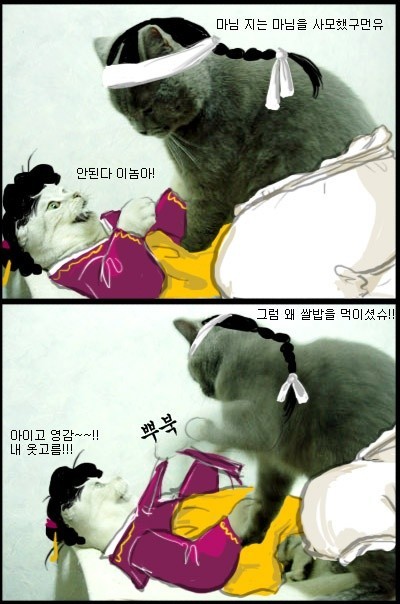 마님 이미지