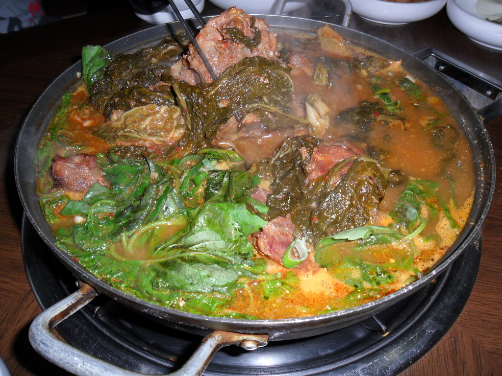 조마루뼈다귀 이미지