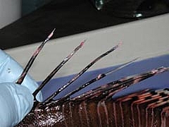 163DD44E4D4EA87F345F8E