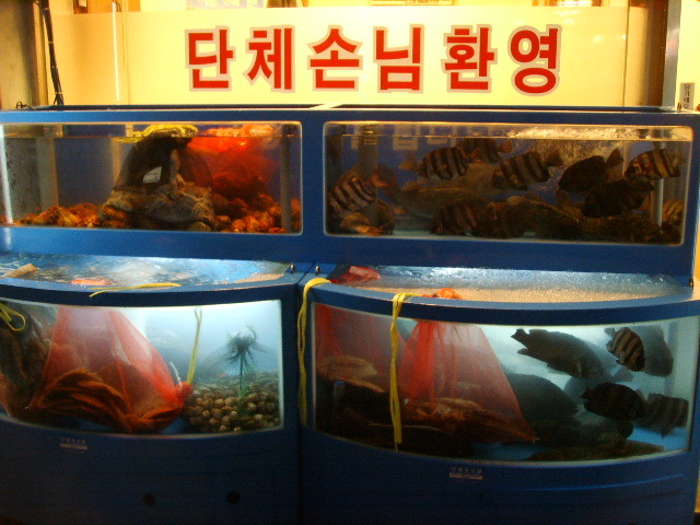 일신 수산 이미지