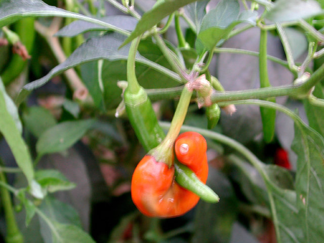 마심 이미지