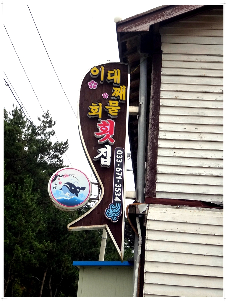 남애항물회 이미지