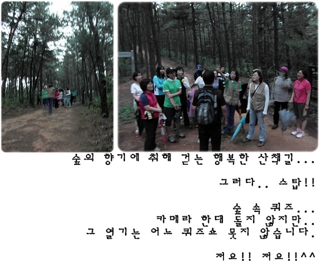 세종유치원 이미지