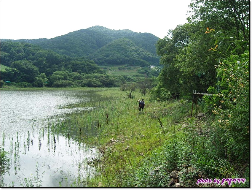 산천초목 이미지