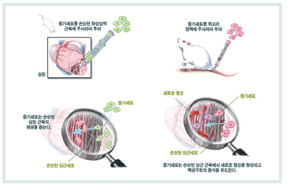 알앤엘메디칼 이미지