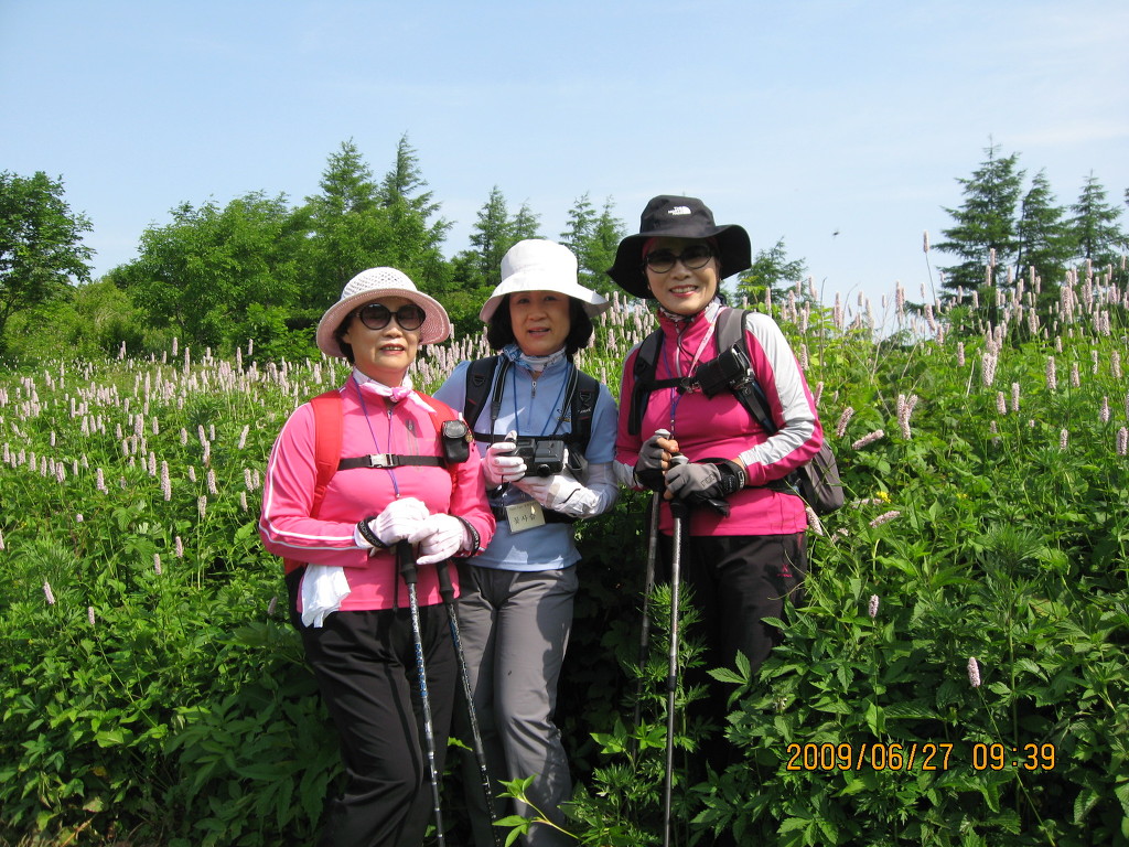 삼공주 이미지