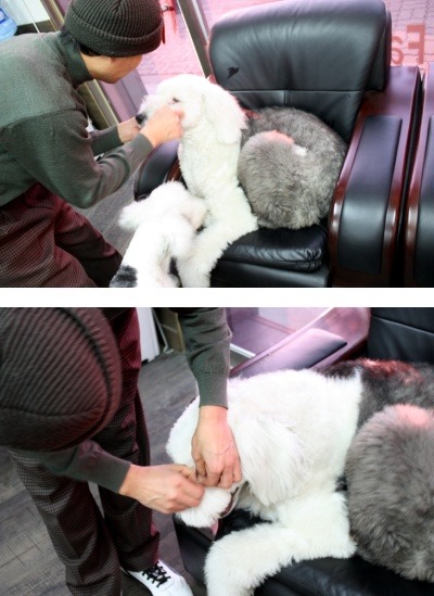 왕초네 이미지