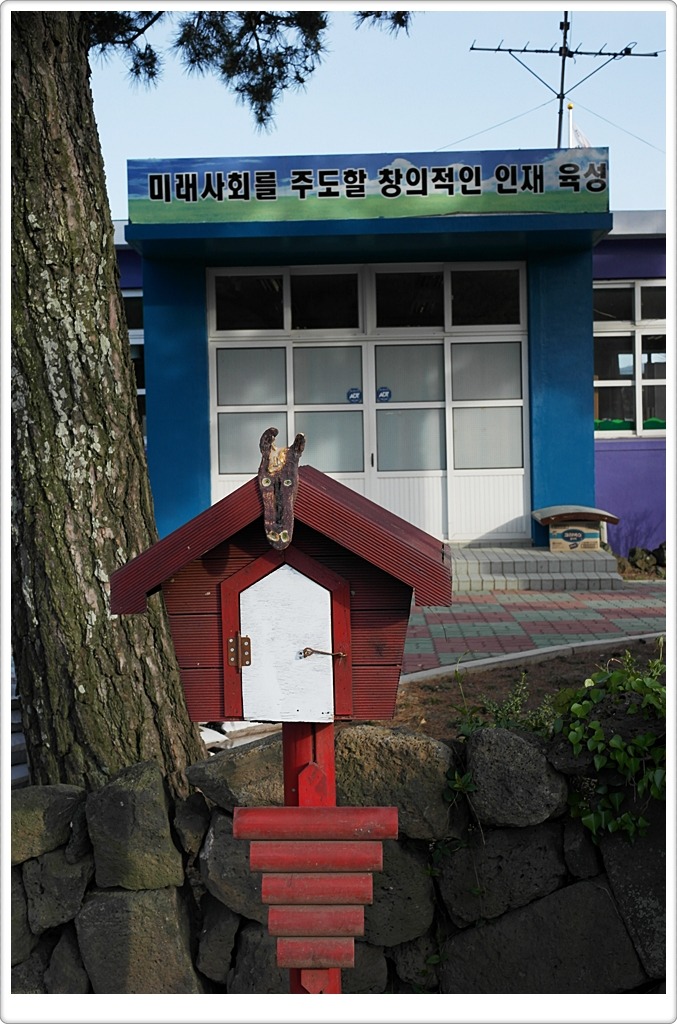 애월초등학교 이미지