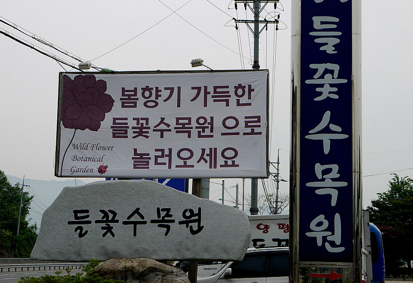 들꽃수목원 이미지