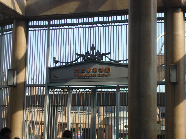 이레건장 이미지