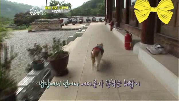 상귀농장 이미지