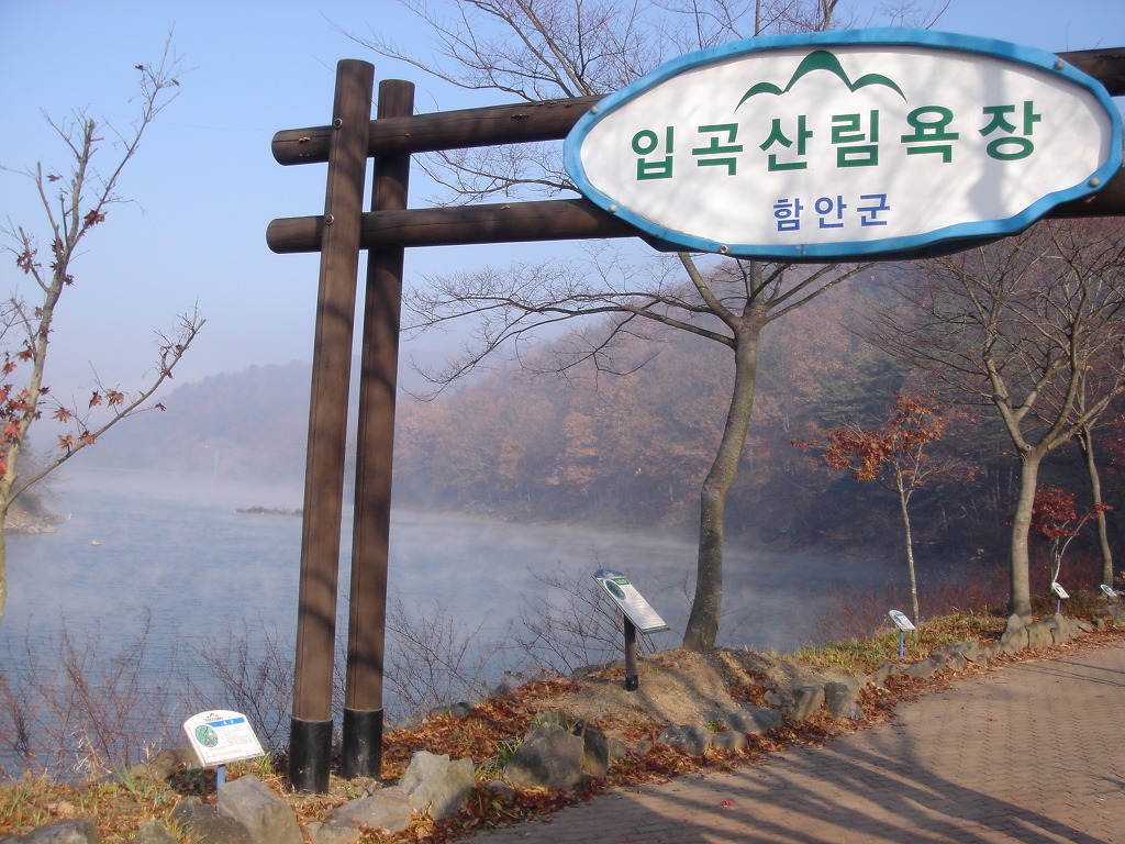 참숫갈비마을 이미지