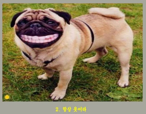 컴퓨터광장 이미지