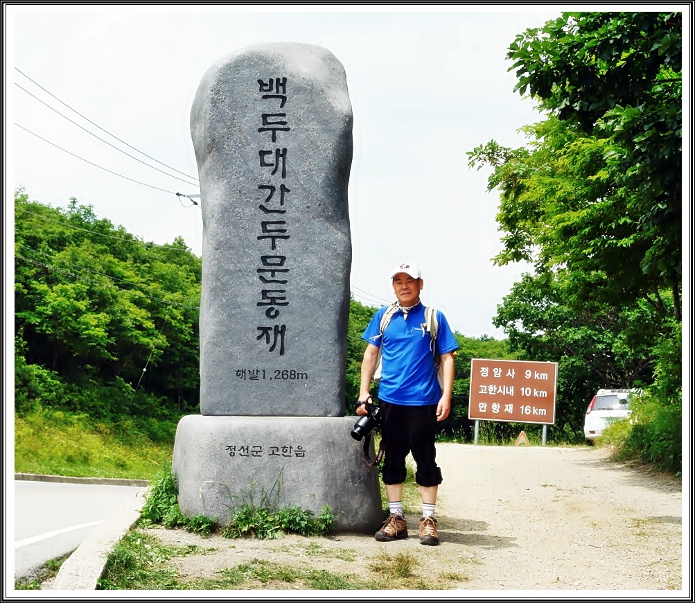 피제 이미지