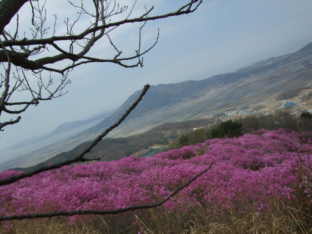 고려산 이미지